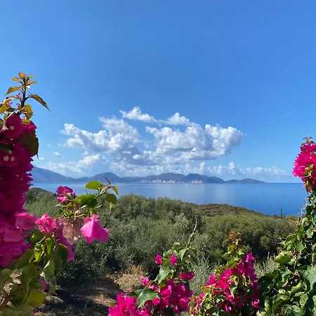 Federico * Χαλικερή