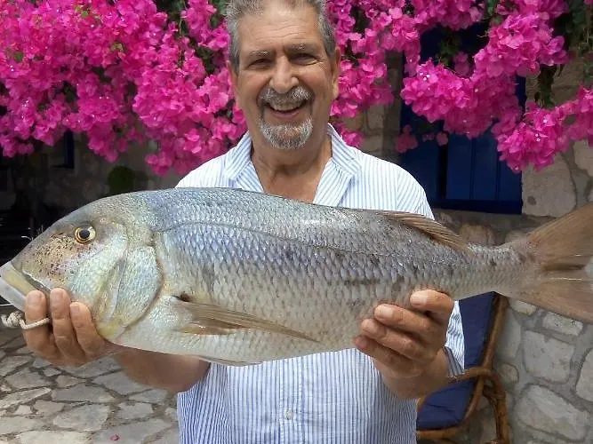 Διαμέρισμα Federico