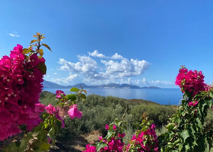 Federico * Χαλικερή