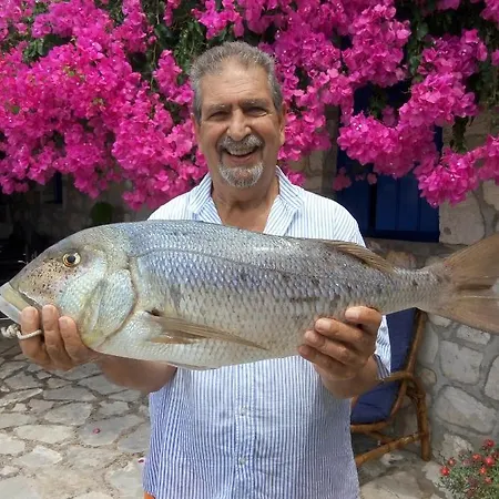 شقة Federico